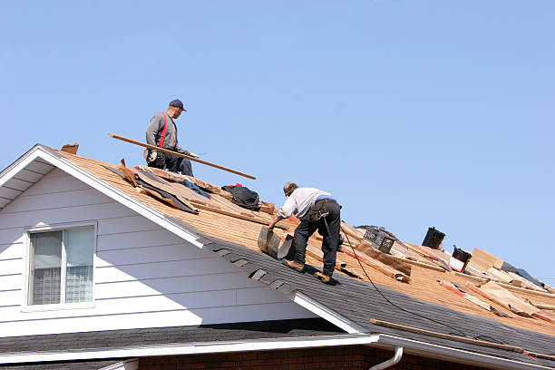 Best Roof Moss and Algae Removal  in Cave Spring, VA